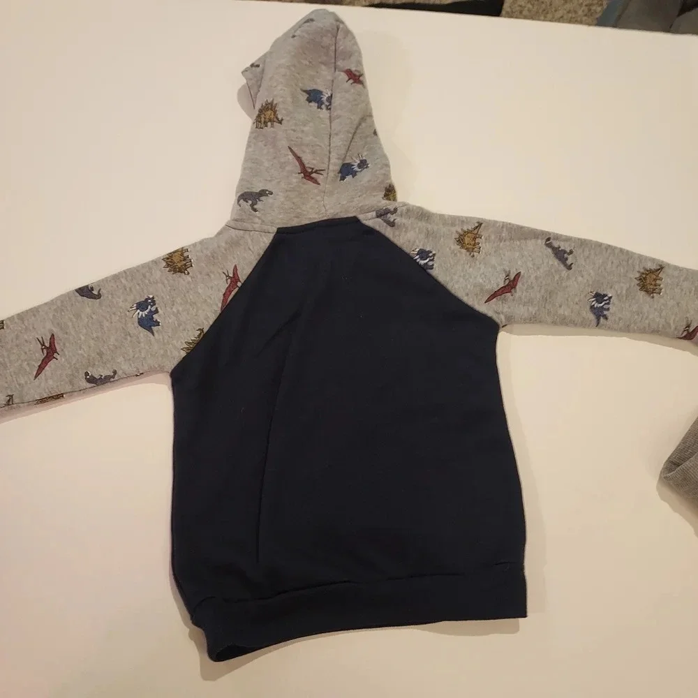 Free Plant Baby Boy 2 Piece Dinosaur Theme Hoodie and Jogger Set in Size 24M